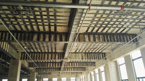 |�������w��̼�w�S�ӹ̹���|